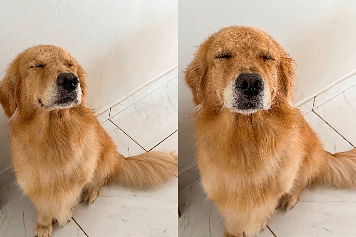 "Nem todo mundo gosta de você, não pode ser assim": Golden leva 'bronca' por ser muito …