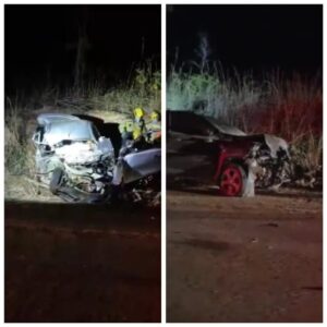 Casal morre e filhos ficam gravemente feridos em acidente na MGC-251