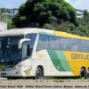Gontijo avança para assumir linha de ônibus entre Belo Horizonte e Unaí