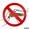 Unaí tem queda de 98,2% nos casos de dengue